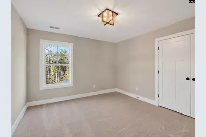 342 Murray Falls Lane, Chapin, SC 29036 - Photo 42