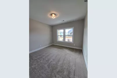 319 Murray Falls Lane, Chapin, SC 29036 - Photo 50