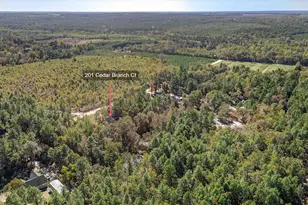 201 Cedar Branch Ct, Gilbert, SC 29054 - Photo 34