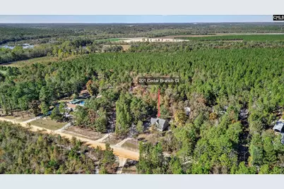 201 Cedar Branch Court, Gilbert, SC 29054 - Photo 32