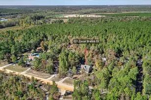 201 Cedar Branch Ct, Gilbert, SC 29054 - Photo 32