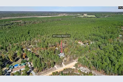 201 Cedar Branch Court, Gilbert, SC 29054 - Photo 2