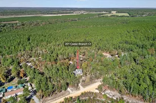 201 Cedar Branch Ct, Gilbert, SC 29054 - Photo 2