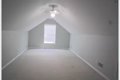 230 Elm Creek Court, Chapin, SC 29036 - Photo 16