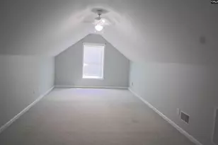 230 Elm Creek Ct, Chapin, SC 29036 - Photo 16