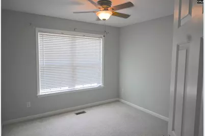 230 Elm Creek Court, Chapin, SC 29036 - Photo 10