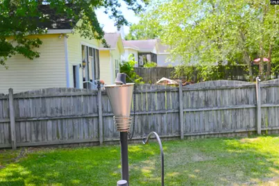 230 Elm Creek Court, Chapin, SC 29036 - Photo 18