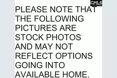 3383 Matrim Way, Lexington, SC 29073 - Photo 4