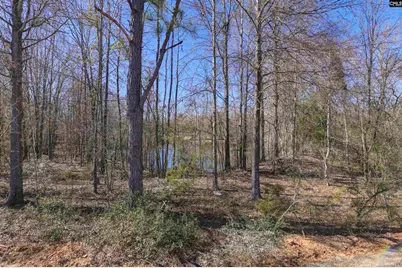247 Boseman Road, Irmo, SC 29063 - Photo 24