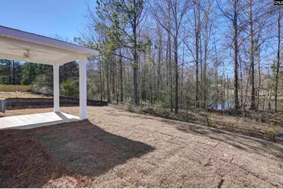 247 Boseman Road, Irmo, SC 29063 - Photo 22