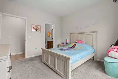 805 Foggy Day Drive, Blythewood, SC 29016 - Photo 28