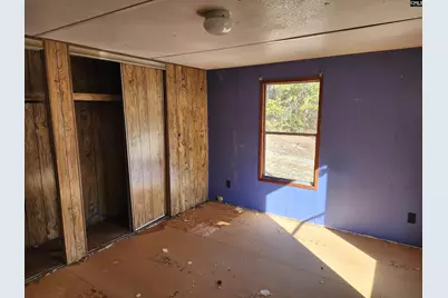 323 Haven Road, Batesburg, SC 29006 - Photo 16