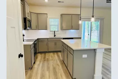 425 Destiny Farm Lane, Blythewood, SC 29016 - Photo 12