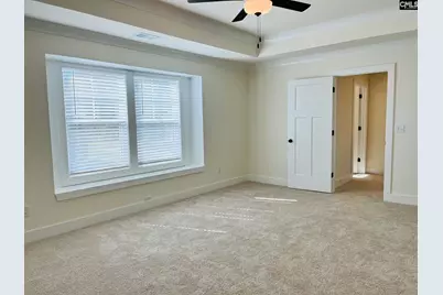 425 Destiny Farm Lane, Blythewood, SC 29016 - Photo 18