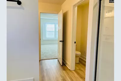 425 Destiny Farm Lane, Blythewood, SC 29016 - Photo 28