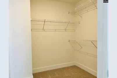 425 Destiny Farm Lane, Blythewood, SC 29016 - Photo 20