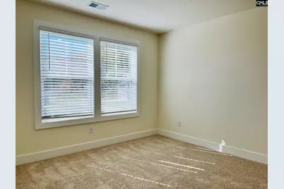 425 Destiny Farm Lane, Blythewood, SC 29016 - Photo 30