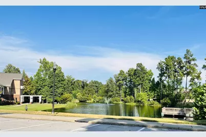 425 Destiny Farm Lane, Blythewood, SC 29016 - Photo 38