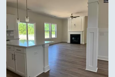 437 Destiny Farm Lane, Blythewood, SC 29016 - Photo 10