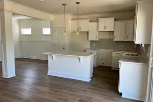 437 Destiny Farm Ln, Blythewood, SC 29016 - Photo 8