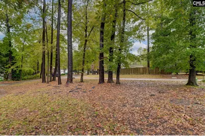 117 Summerfield Drive, Lexington, SC 29072 - Photo 52