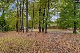 117 Summerfield Dr, Lexington, SC 29072 - Photo 52