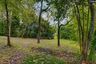 117 Summerfield Dr, Lexington, SC 29072 - Photo 8