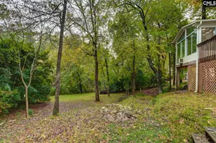117 Summerfield Dr, Lexington, SC 29072 - Photo 48