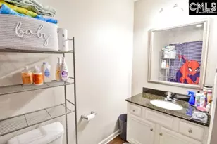 356 Oristo Ridge Way, West Columbia, SC 29170 - Photo 16