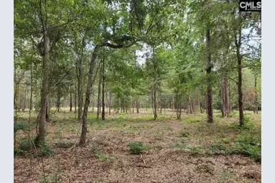 220 Courtland Road, Chapin, SC 29036 - Photo 4