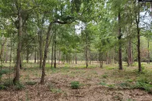 220 Courtland Rd, Chapin, SC 29036 - Photo 4