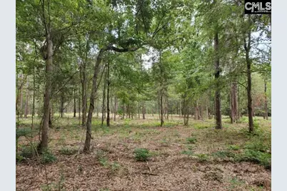 220 Courtland Road, Chapin, SC 29036 - Photo 2