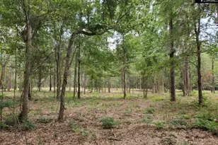 220 Courtland Rd, Chapin, SC 29036 - Photo 2