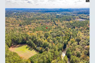 220 Courtland Road, Chapin, SC 29036 - Photo 10