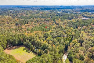 220 Courtland Rd, Chapin, SC 29036 - Photo 10