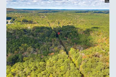 220 Courtland Road, Chapin, SC 29036 - Photo 8