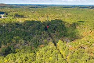 220 Courtland Rd, Chapin, SC 29036 - Photo 8