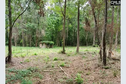 220 Courtland Road, Chapin, SC 29036 - Photo 6