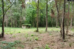 220 Courtland Rd, Chapin, SC 29036 - Photo 6
