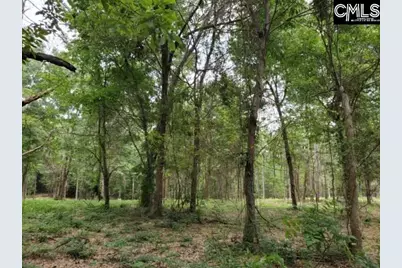 220 Courtland Road, Chapin, SC 29036 - Photo 4