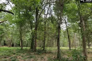 220 Courtland Rd, Chapin, SC 29036 - Photo 4