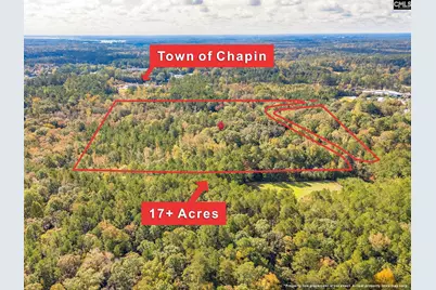 220 Courtland Road, Chapin, SC 29036 - Photo 6