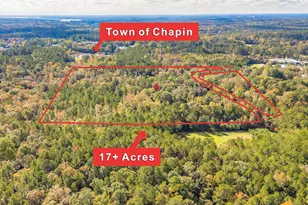 220 Courtland Rd, Chapin, SC 29036 - Photo 6