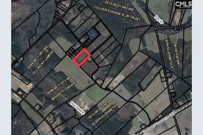 Cooter Road #1, Orangeburg, SC 29115 - Photo 1