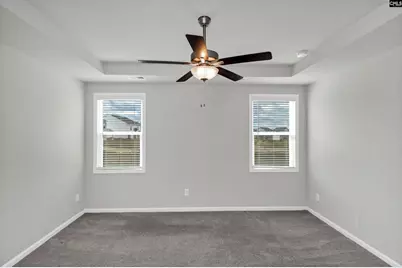 419 Dolomite Court, Chapin, SC 29036 - Photo 16