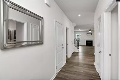 419 Dolomite Court, Chapin, SC 29036 - Photo 4