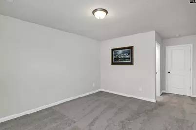 419 Dolomite Court, Chapin, SC 29036 - Photo 26
