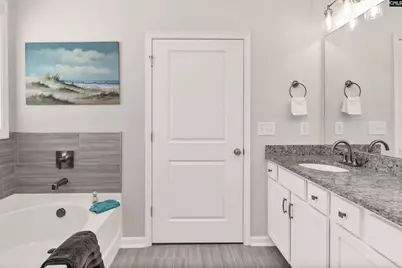 419 Dolomite Court, Chapin, SC 29036 - Photo 20