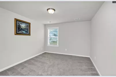 419 Dolomite Court, Chapin, SC 29036 - Photo 24
