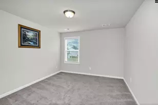 419 Dolomite Ct, Chapin, SC 29036 - Photo 24